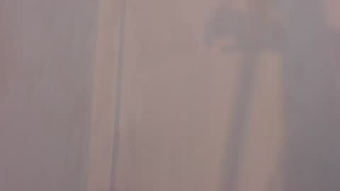patrik online show from 07/11/26, 05:21