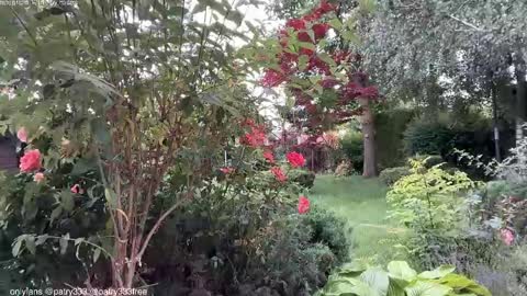 Andreea online show from 06/04/26, 05:57