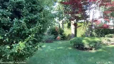 Andreea online show from 06/20/26, 05:32