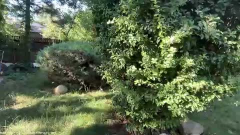 Andreea online show from 07/07/26, 05:43
