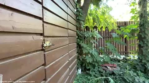 Andreea online show from 07/14/26, 07:24
