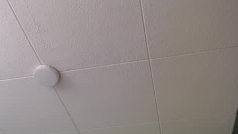 Paul online show from 10/20/25, 01:00