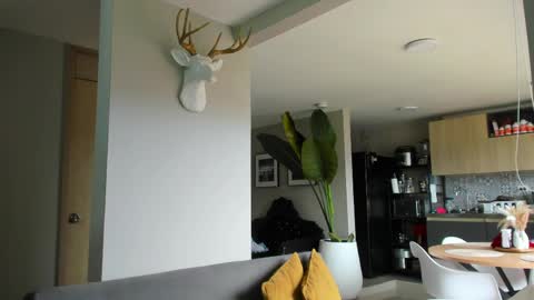 Paul online show from 04/10/26, 04:55