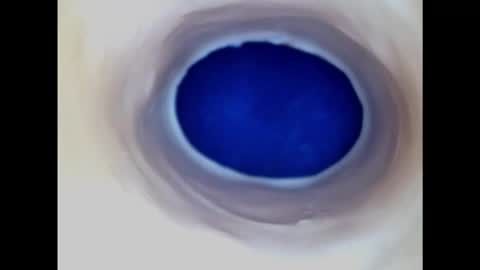 Paula 18 Aninhos online show from 02/20/25, 03:01