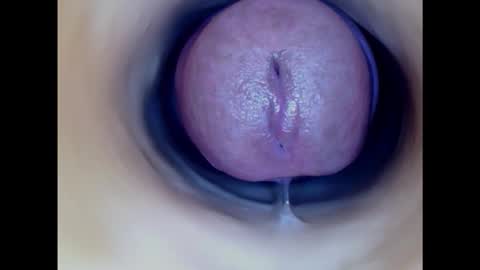 Paula 18 Aninhos online show from 11/05/25, 11:16