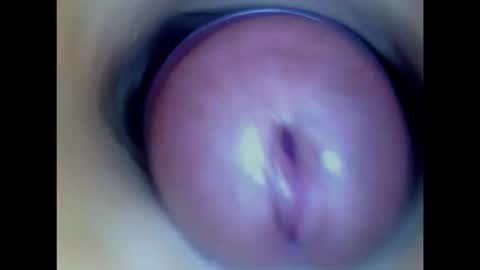 Snapshot of paulainoscente chatting on 02/03/26, 06:40 Paula 18 Aninhos online show from 02/03/26, 06:40