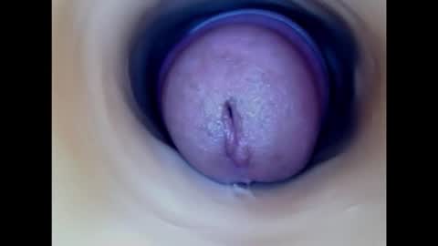 Snapshot of paulainoscente chatting on 02/04/26, 02:06 Paula 18 Aninhos online show from 02/04/26, 02:06