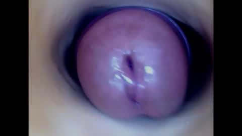 Snapshot of paulainoscente chatting on 02/05/26, 10:47 Paula 18 Aninhos online show from 02/05/26, 10:47