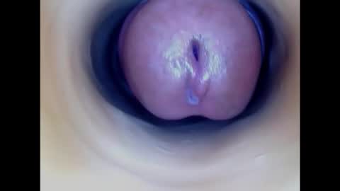 Snapshot of paulainoscente chatting on 02/08/26, 12:36 Paula 18 Aninhos online show from 02/08/26, 12:36