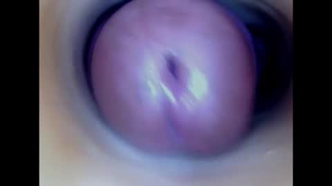 Snapshot of paulainoscente chatting on 02/14/26, 03:03 Paula 18 Aninhos online show from 02/14/26, 03:03