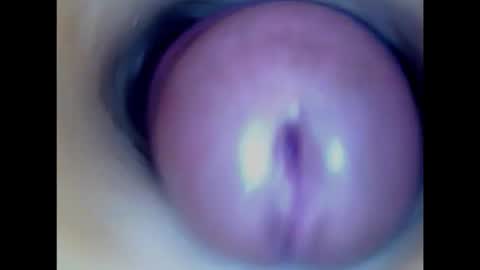 Snapshot of paulainoscente chatting on 02/14/26, 03:31 Paula 18 Aninhos online show from 02/14/26, 03:31