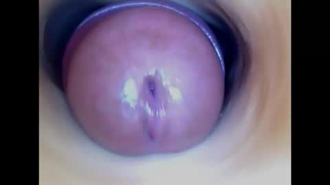 Snapshot of paulainoscente chatting on 02/15/26, 07:54 Paula 18 Aninhos online show from 02/15/26, 07:54