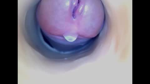 Snapshot of paulainoscente chatting on 02/19/26, 05:47 Paula 18 Aninhos online show from 02/19/26, 05:47