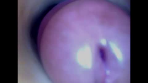 Snapshot of paulainoscente chatting on 02/27/26, 06:13 Paula 18 Aninhos online show from 02/27/26, 06:13