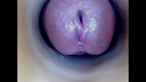 Snapshot of paulainoscente chatting on 03/01/26, 06:43 Paula 18 Aninhos online show from 03/01/26, 06:43