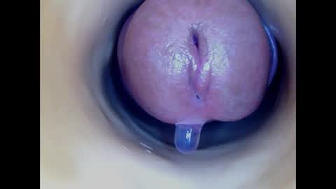 Snapshot of paulainoscente chatting on 03/02/26, 05:08 Paula 18 Aninhos online show from 03/02/26, 05:08