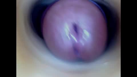 Snapshot of paulainoscente chatting on 03/02/26, 07:54 Paula 18 Aninhos online show from 03/02/26, 07:54