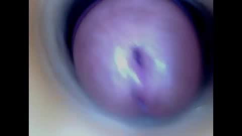 Snapshot of paulainoscente chatting on 03/03/26, 05:30 Paula 18 Aninhos online show from 03/03/26, 05:30