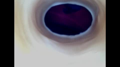 Paula 18 Aninhos online show from 03/27/26, 09:25