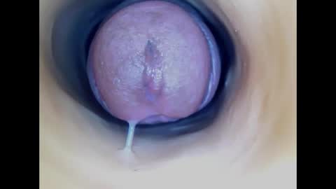 Paula 18 Aninhos online show from 04/12/26, 03:11