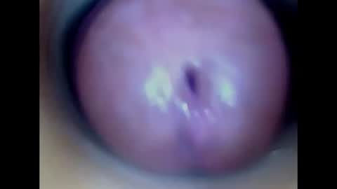 Snapshot of paulainoscente chatting on 07/13/26, 02:09 Paula 18 Aninhos online show from 07/13/26, 02:09