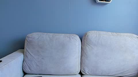 Paul Phoenix online show from 01/02/25, 06:12