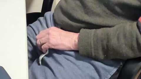 Snapshot of paultje7171 chatting on 02/10/25, 06:45 Paul online show from 02/10/25, 06:45