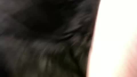 pauly online show from 01/01/25, 11:16