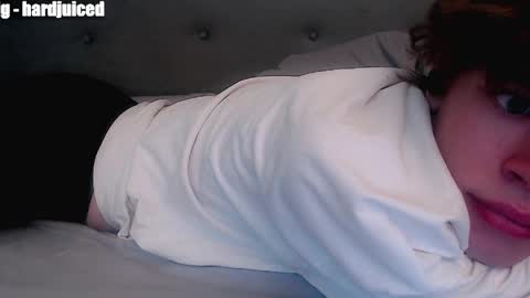 pawclaw online show from 04/10/26, 02:39