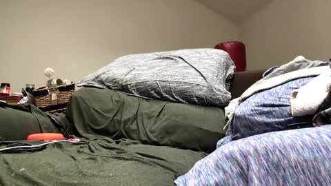 Snapshot of pduke81 chatting on 12/16/24, 07:00 Hung sung Hero online show from 12/16/24, 07:00