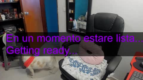 Tangerine Penaut online show from 02/09/26, 10:36