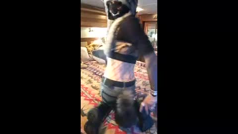 Pearl online show from 04/19/26, 09:28