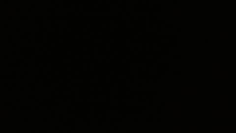 pearlatin online show from 01/22/25, 02:48