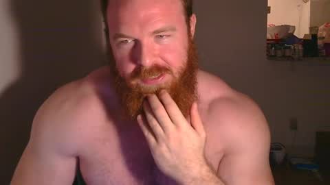 Pec inspector online show from 01/27/25, 03:58