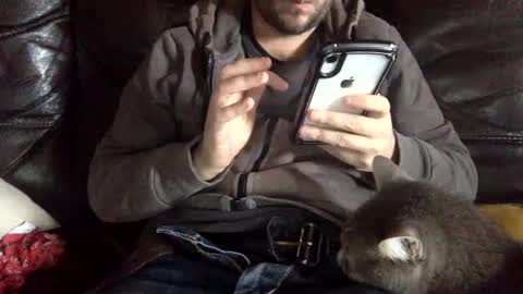 pedrotheamateur online show from 12/03/24, 12:38