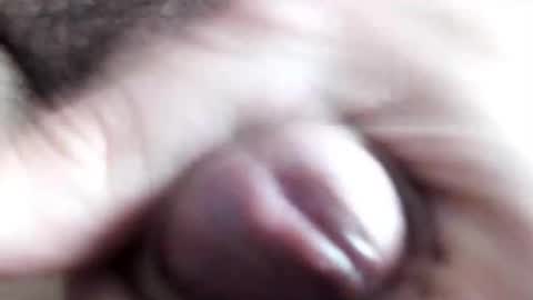 peiboluna online show from 02/11/25, 10:59