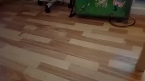 Snapshot of pepe_hard chatting on 03/02/26, 06:58 pepe_hard online show from 03/02/26, 06:58