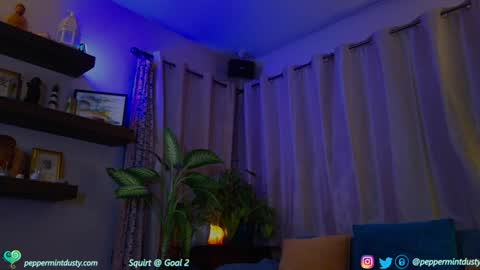 Snapshot of peppermintdusty chatting on 12/19/24, 04:13 Peppermint and Dusty online show from 12/19/24, 04:13