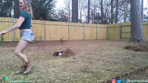 Peppermint and Dusty  online show from 03/03/26, 07:42