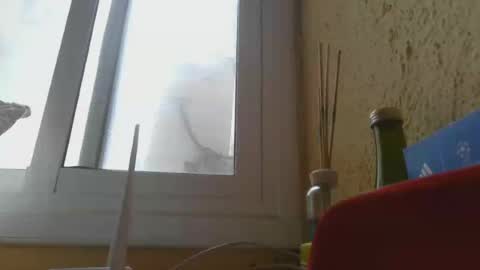 perales_12345 online show from 06/14/26, 03:25