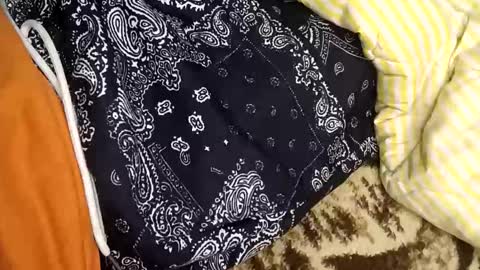 perdido4_20 online show from 01/05/25, 02:08