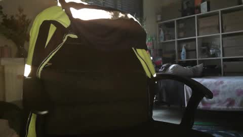 peregrintpelfox online show from 12/16/25, 10:20