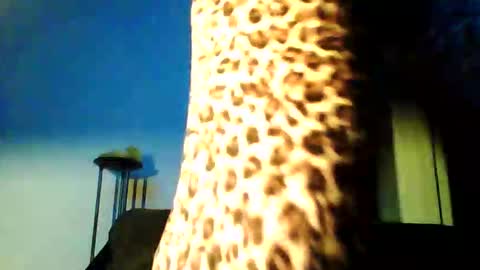 permageil_nackt_alt online show from 02/26/26, 06:51