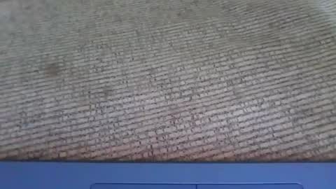 PERSIAN SKKY online show from 07/10/26, 08:22