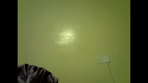 Snapshot of perverted_sweet chatting on 11/17/25, 11:43 perverted_sweet online show from 11/17/25, 11:43