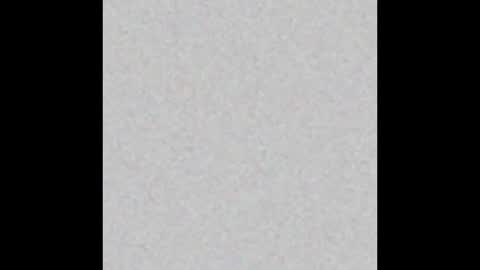 Maximus online show from 02/16/25, 06:10