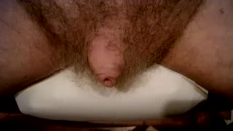 peterpeteropoulos online show from 02/21/26, 05:03