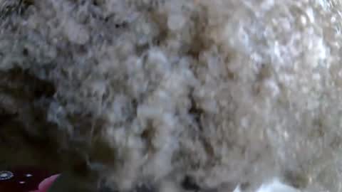 Caramel online show from 11/05/25, 11:05