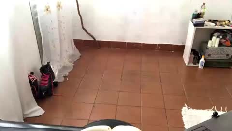 Mlian online show from 04/15/26, 04:36