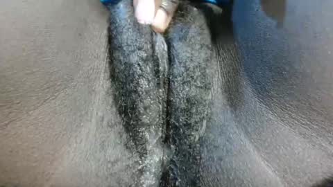 petiteme1 online show from 01/21/25, 08:21